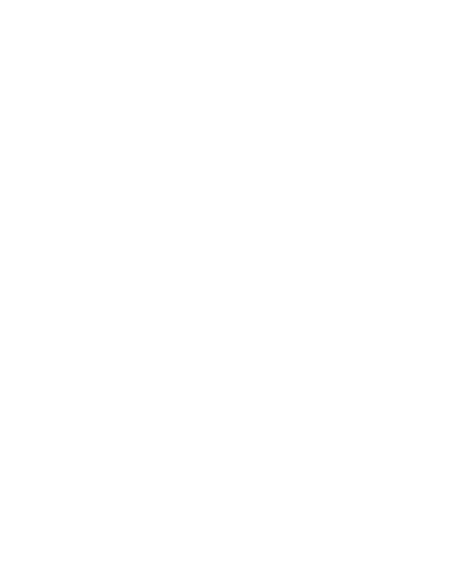 StarTur Turismo